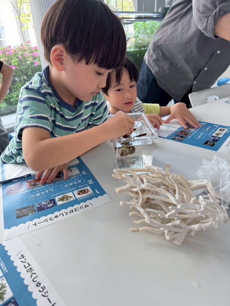 調べ学習をするこども　モンテッソーリ