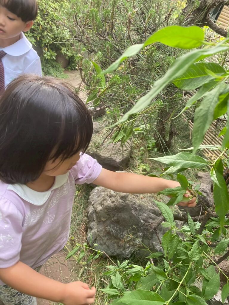 日常生活の練習