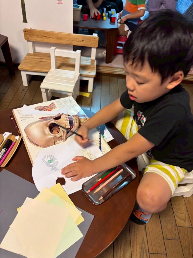 調べ学習の様子
