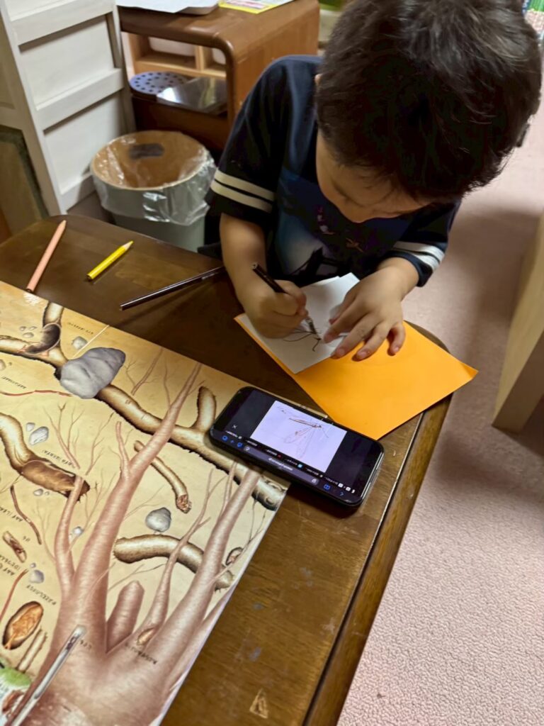 調べ学習を行うこども