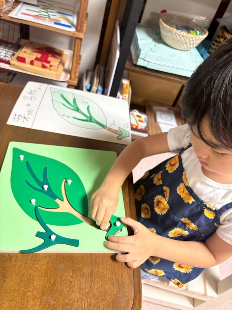 活動の様子 モンテッソーリ