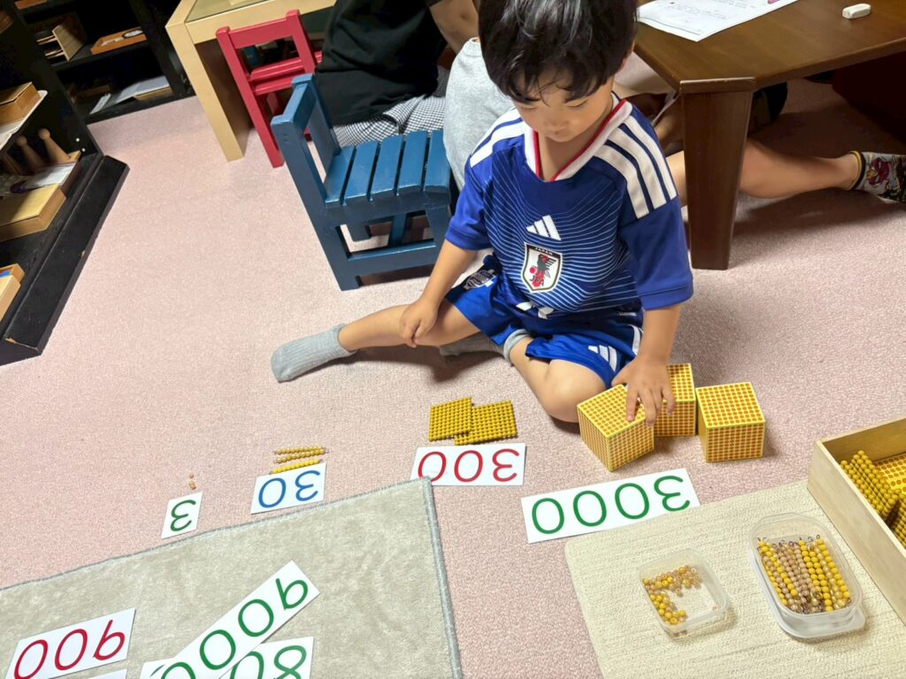 数の分野 ビーズ