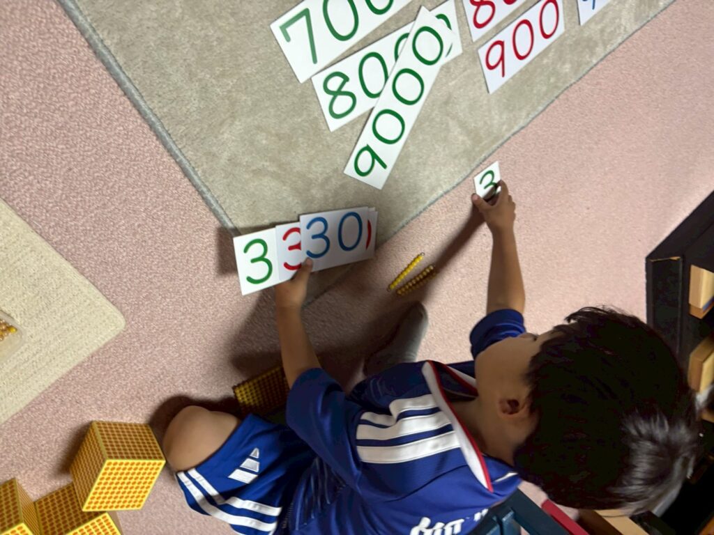 数の分野